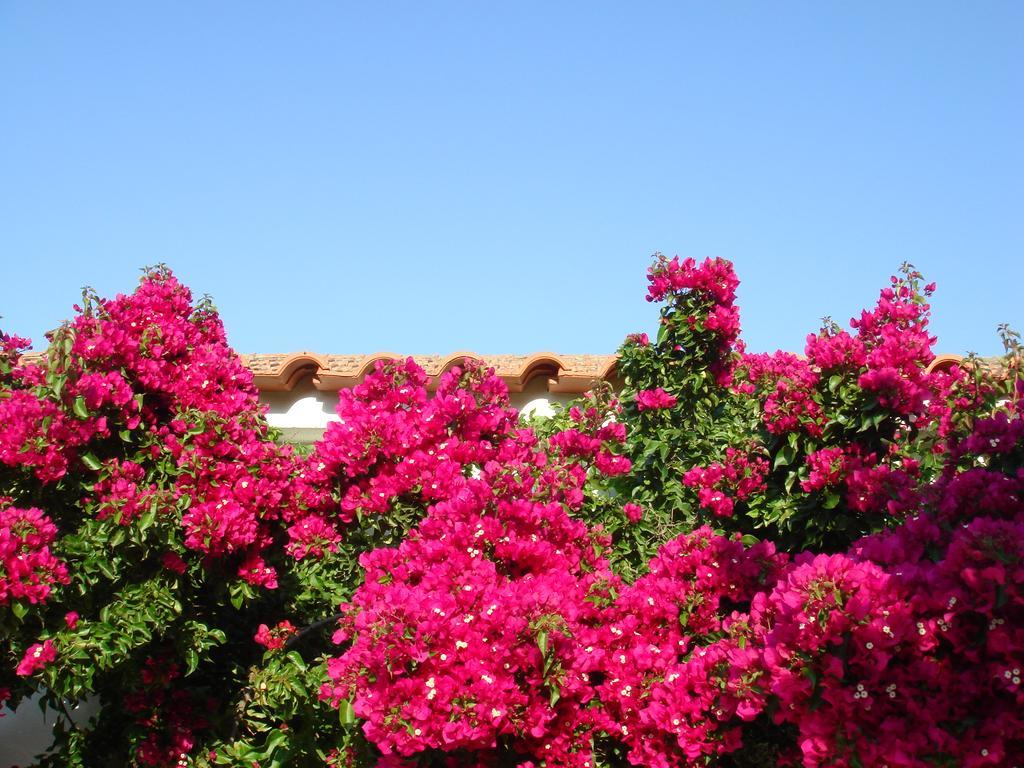Monte Dos Arneiros Hotel Lavre Exterior photo